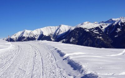 Public’s Help Requested For Snowmobile Trail Systems 