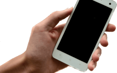 Man Arrested In Duchesne County For Child Pornography/Bestiality