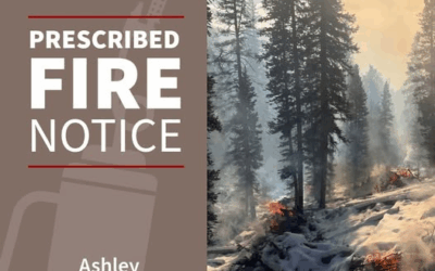Planned Burns In Dry Fork Canyon And Brownie Canyon