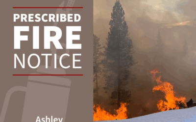 Pile Burning This Week Part Of Red Cloud Loop Fuels Reduction Project