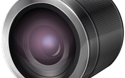 New Cameras And Fencing Installed Around Ashley Springs