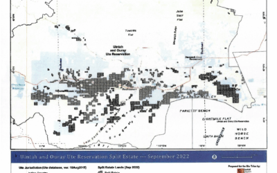 10th Circuit Judge Determines Split Estate Lands Not Indian Country