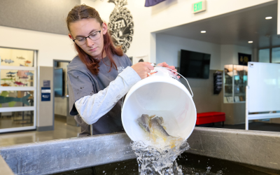 Uintah Class Helps Release Endangered Razorbacks Into Green River