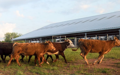 Agricultural Land Easements Available Through Natural Resources Conservation Service