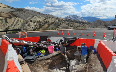 More Fossils Discovered During Dinosaur Quarry Parking Lot Excavation 