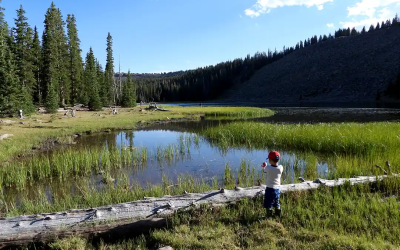 Fishing During A Drought Year