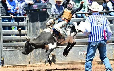 Vernal Young Man Earns Title Of Jr. High Bull Riding Champion