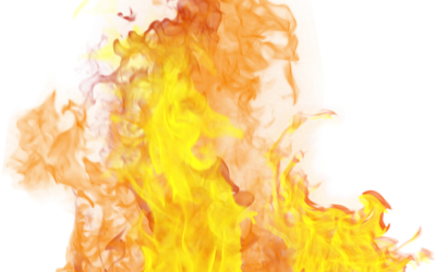 Power System Safety and Wildfire Preparedness