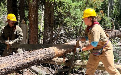 Utah Conservation Corps Secures Funding For High Uintas Trail Maintenance