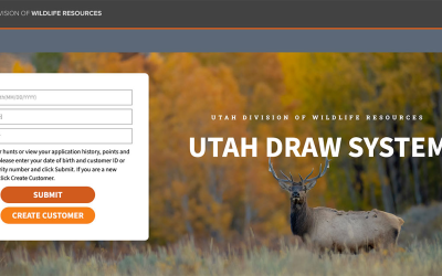 Applications Open Tomorrow To Hunt Cranes, Grouse, Swans 