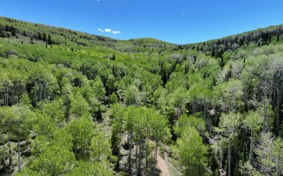 Forest Legacy Funds Awarded To Book Cliffs Nine Mile Canyon Conservation Project