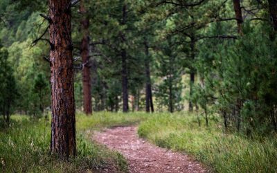 Celebrate National Trails Day