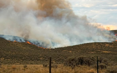 Big Gulch Wildfire Burning In Moffat County