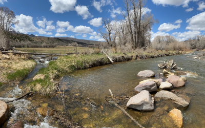 Duchesne County Blue Ribbon Fisheries Awarded Funding For Projects
