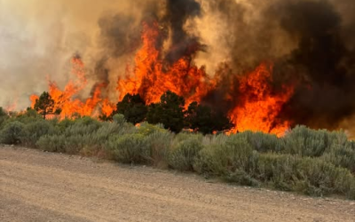 PL Gulch Fire Southwest Of Meeker