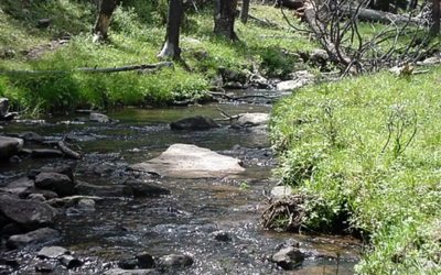 Treatments Scheduled In High Uintas To Restore Native Cutthroat Trout