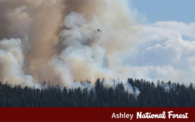 Grizzly Ridge Fire Update