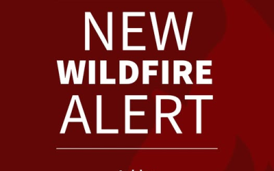 Grizzly Ridge Fire Burning In Ashley National Forest