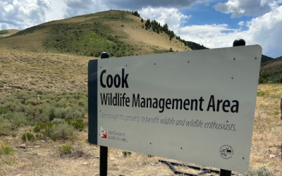 Habitat Projects Focus On Helping Deer Populations