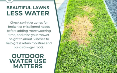 Vernal City Tips On Watering Lawns
