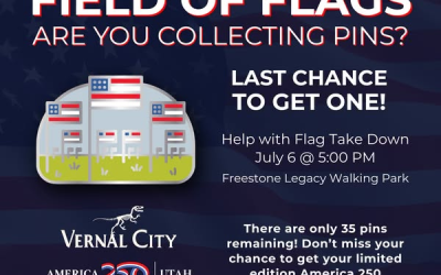 Wrap Up America 250 Celebration By Volunteering With Field Of Flags Take Down